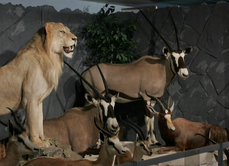 Mt. Aetna Nature Center